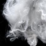 100% Bosilun fiber Hollow Conjugated Polyester Staple Fiber
