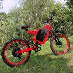 Good performance ebike,fat tire electric bike kenda tyre