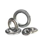 YRTM Milling Machine Roller Rotary Table Bearings High Rigidity