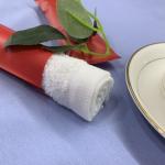 Alcohol Free Travel 15g wet towel
