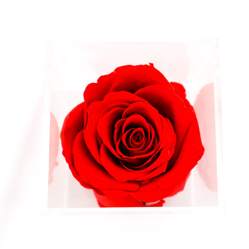 2020 New Year Love Gift Preserved Rose Flower Wedding Souvenirs For Guest