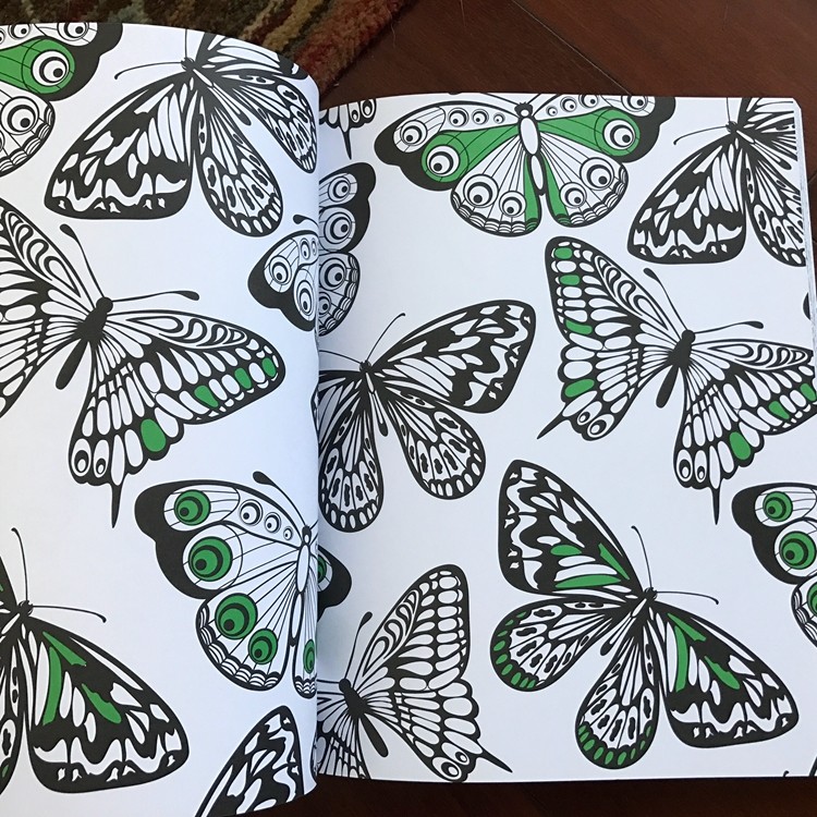 Easy Interactive Coloring Pages Printing For Kids Babies Reusable Drawing