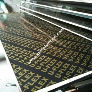 China Cheap Film Faced Plywood for Middle East/Africa, One time hot pressed veneer film faced plywood wholesale