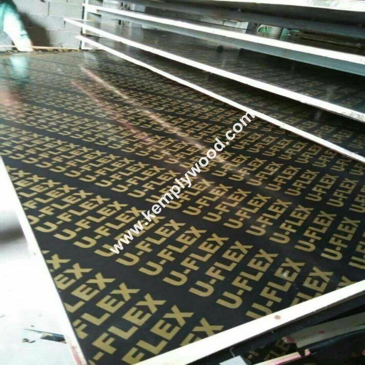 18mm Black Film Faced Plywood, Construction Shuttering film faced plywood