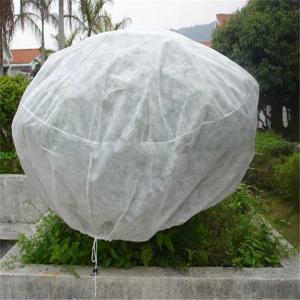 China Agricultural PP Spunbond Nonwoven Fabric 165gsm Breathable wholesale