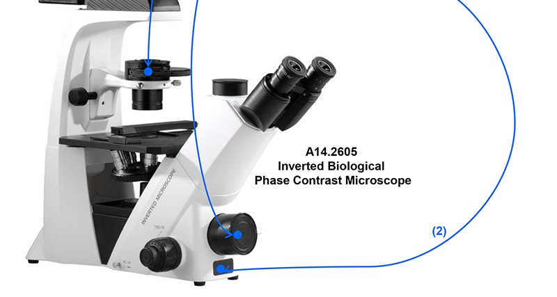 OPTO-EDU Trinocular Inverted Biological Microscope WF10X PlA14.2605 Kohler Illumination