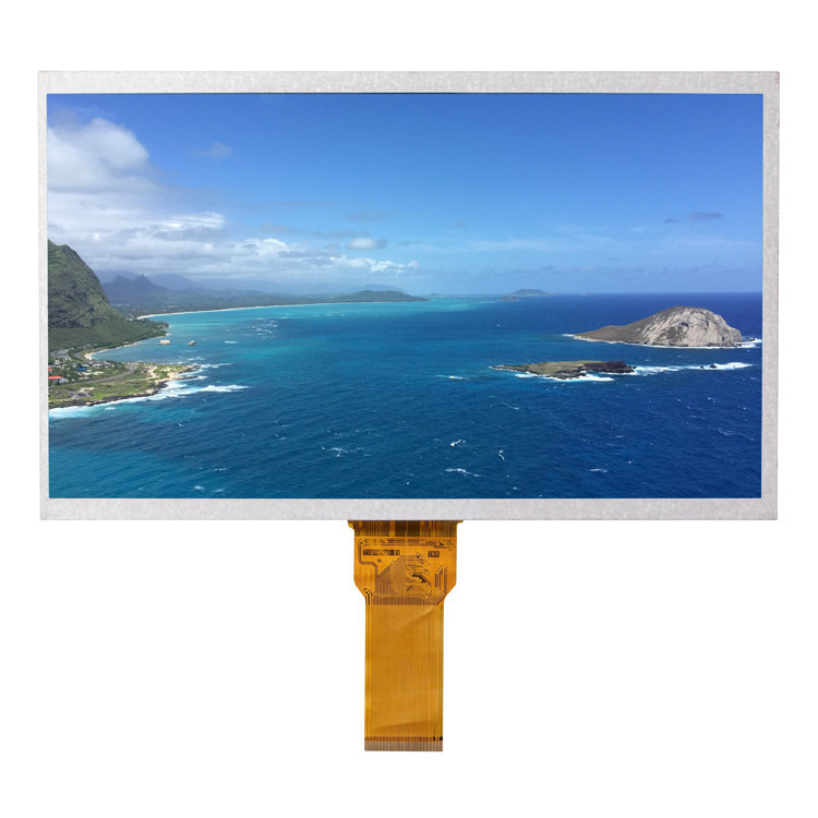 10.1 Inch 1280*800 40pins Lvds Interface IPS TFT LCD Panel
