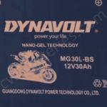 12V 30Ah Recreational Vehicle Batteries 125CC Four Wheeler Battery DYNAVOLT