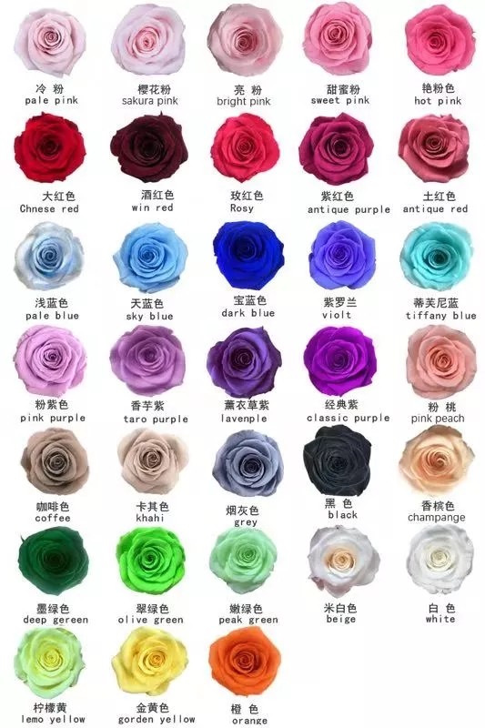 9-10cm Dried Preserved Flower Roses Forever Gift for Birthday Valentines Christmas Day 1pcs/box