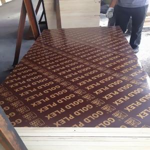 China 1220*2440* 18mm phenolic plastic film faced plywood, Linyi marine plywood to Middle East Market wholesale