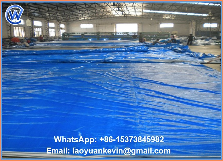 Hot Selling Ractical waterproof protective pe tarpaulin From China