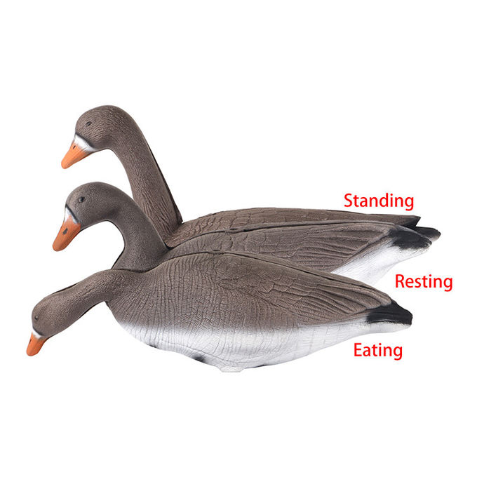 XPE Brown Real Life Canada Goose Decoys For Outdoor Hunting Accessories