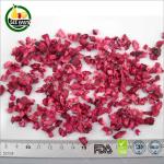 Halal instant food dehydrated vegetable freeze dried sour cherry