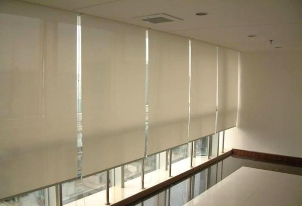 Double roller blinds window blinds fabricin door blinds fabric white coating