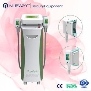China professional Cryolipolysis slimming machine/safty cryolipolysis slimming equipment wholesale