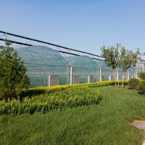 China Factory wholesale stock exterior shading steel frame commercial multi span film greenhouse wholesale