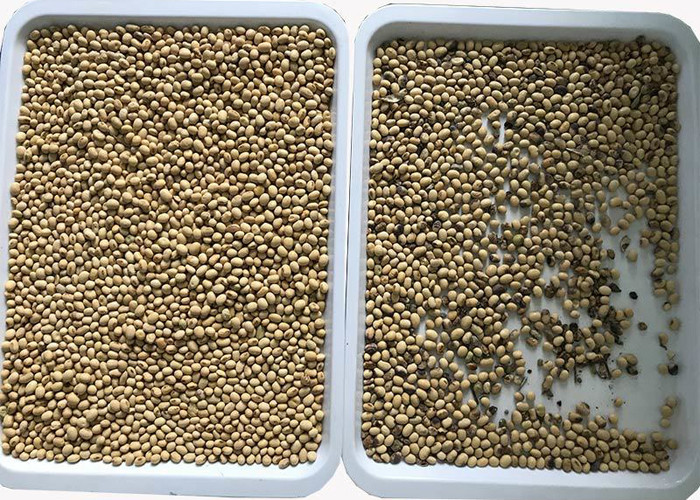 Intelligent Bean Color Sorter Mini Red Bean Soybean Optical Color Sorter