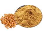 99% Herbal Extract Anti Tumor Peach Kernel Powder
