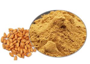 China 99% Herbal Extract Anti Tumor Peach Kernel Powder wholesale
