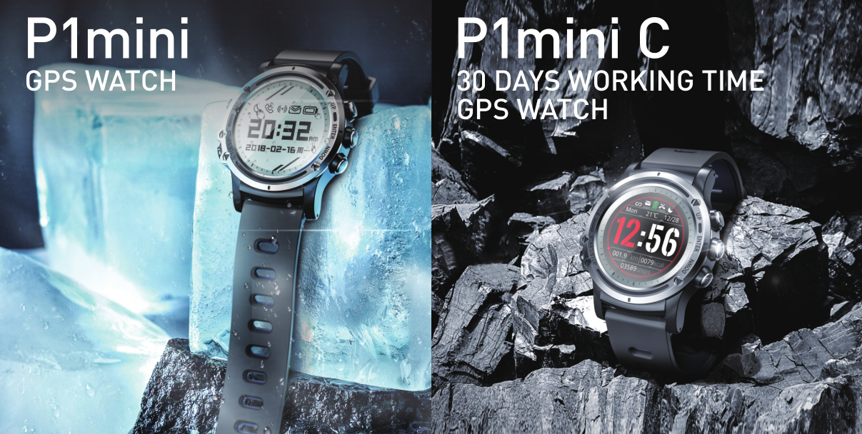 PPG ECG Replaceable Straps Smart Fitness Band