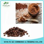 Premium Quality Low Fat Healthy Food Ingredient Cocoa Powder