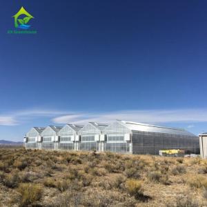 China Multispan PC Sheet Greenhouse wholesale