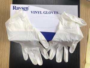 China Medical Stretch Creamy Powder Free Vinyl Gloves 240mm Length 5 Years Shelf Life wholesale