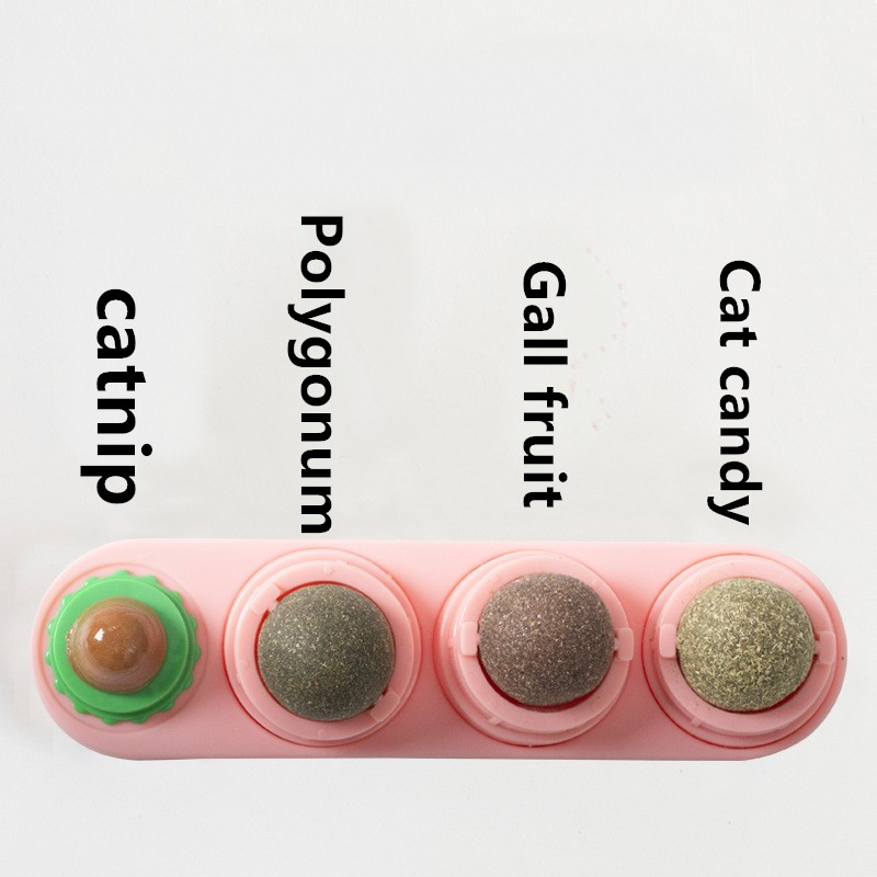 catnip wall ball toys