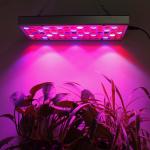 Red Blue 150W 289 Leds Dimmable Indoor Plant Grow Lights