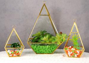 China Glass artifact gold diamond succulent flower stone room immortal flower room ins glass storage box wholesale wholesale