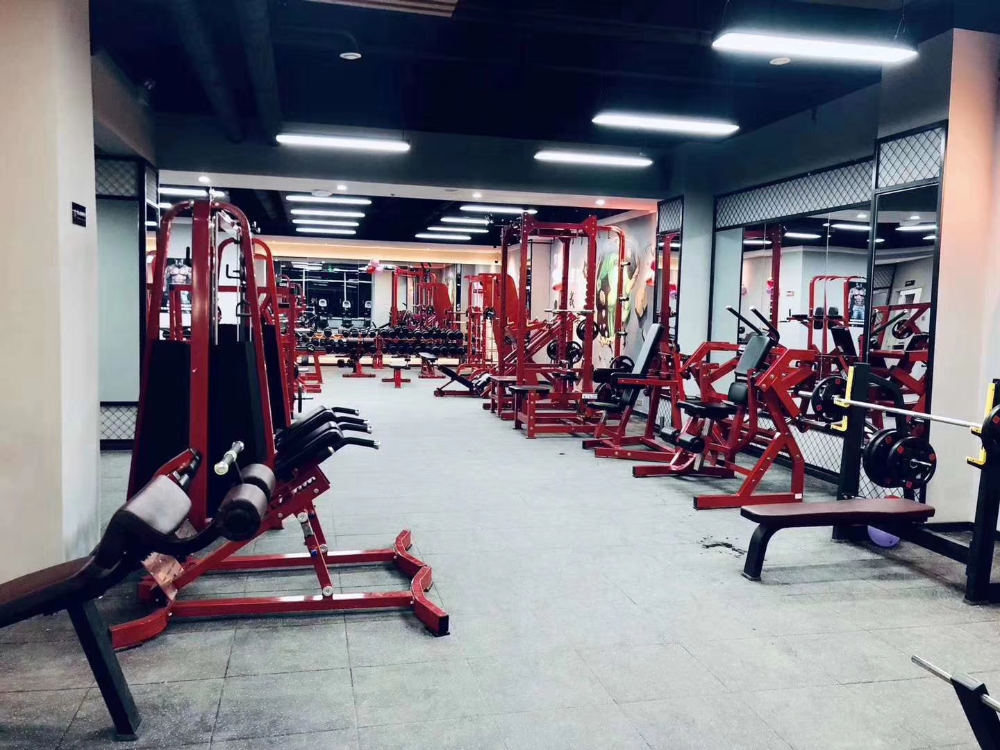 Chest Fly Rowing Squat Rack Multi Function Smith Machine Sport Fitness Equipment