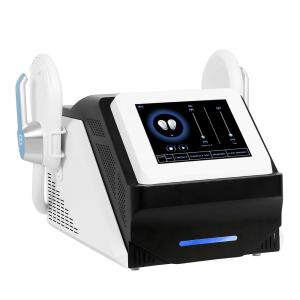 China Salon Electromagnetic Electric Muscle Stimulator Machine Fat Reduction Body Fitness 3000W wholesale
