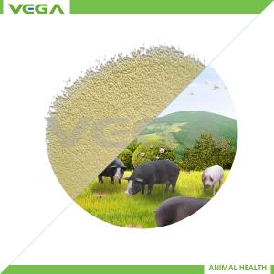 China China Kitasamycin 10%/50% Veterinary Premix wholesale
