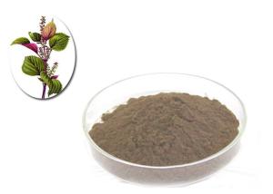 China Premium Perilla Seed Natural Agricultural Products As Traditional Condiment wholesale