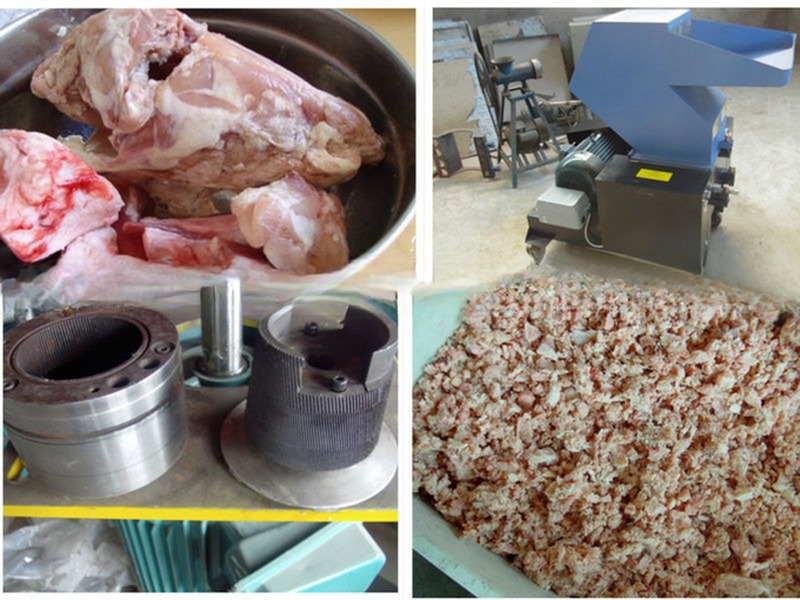 Meat Processing Machinery 300kg/h Big Animal Bone Crusher Machine for Industrial