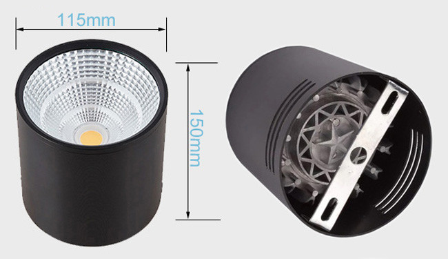 High Power COB LED Down Light For Mall Lighting 110V 30W 100lm/w