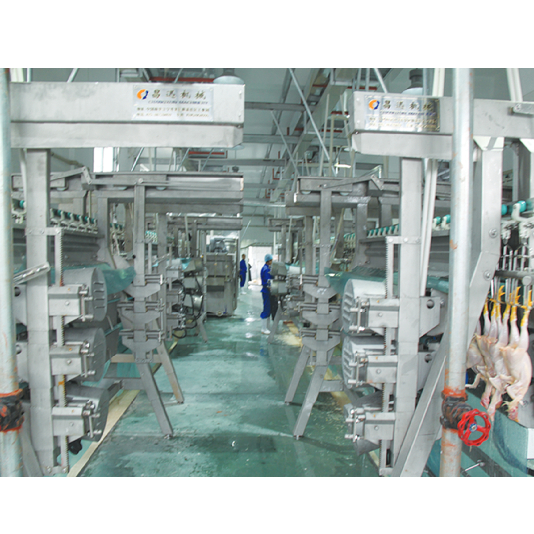 1000bph Automatic Chicken Slaughtering Equipment For Poultry Slaughterhouse