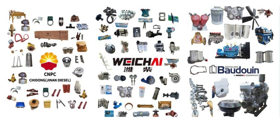 Z12VB.06.30.01/02 Camshaft front and rear of G12V190PZL P12V190B Z12V190B diesel engine jinan diesel engine co.,ltd chidong jichai 1