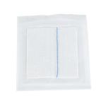 Non Sterile Wounds Surgical Gauze Sponges Swab Gauze Dressing