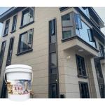 Top-Notch Asian Paints Eco-Friendly Wall Spray Stone Paint Aging Resistance 250
