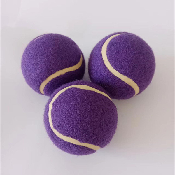 Squeaky Tennis Balls for Large or Small Dogs and Puppies - Dog Training Toys for Positive Reinforcement