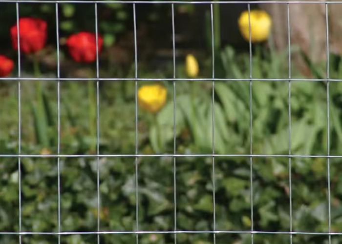 Long Hole Shape 8x8 Welded Wire Mesh For Customized Sale Of Actuals