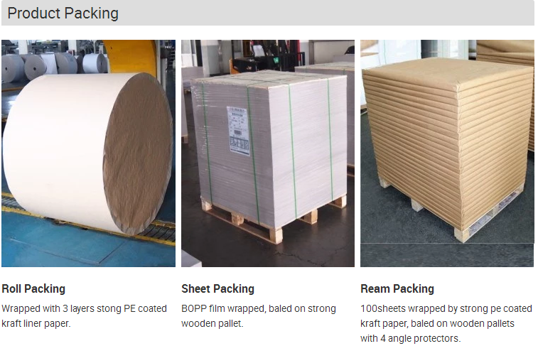 Double Side Coated Nevia Art Paper in Reel/Sheet Package for Professional Results