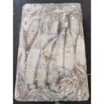 300g 400g Healsea Argentina BQF Frozen Illex Squid