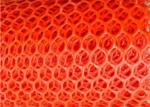 250gsm Plastic Netting Mesh