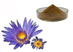 China Nymphaea Caerulea Flower Powder Blue Lotus Organic Herbal Extracts wholesale