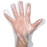 PE Plastic Disposable Gloves / Eco Friendly Plastic Multifunction Gloves