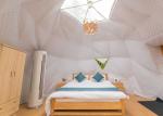 Clear Span Lightweight Geodesic Tent Fire Retardant Commercial Dome Tents