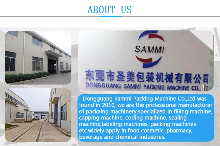 200g Automatic Packaging Machine For Tea Powder Sachet Pouch