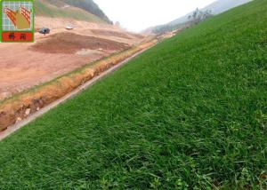China Black Color Erosion Control Net For Three Dimensional Erosion Blanket 250g / Sqm wholesale